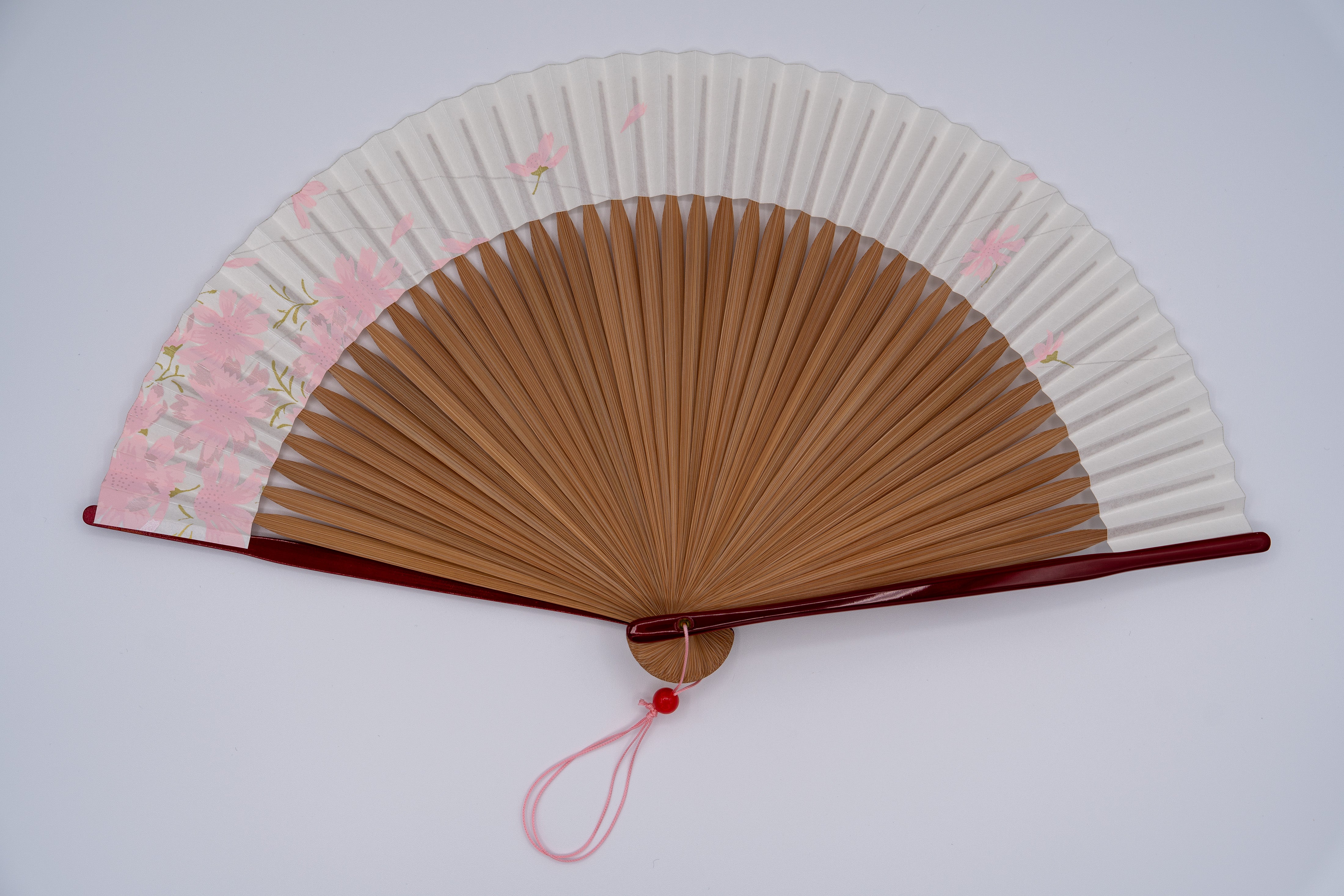 WEB限定】夏扇子「コスモス」 #983W